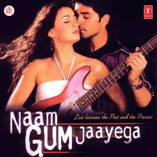 Naam Gum Jaayega 2005