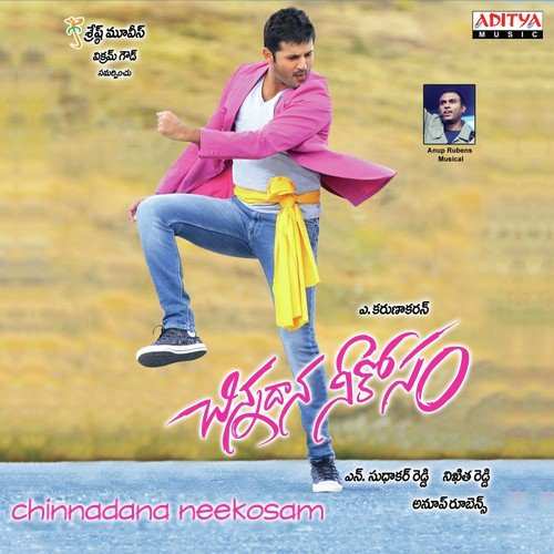 Chinnadana Neekosam