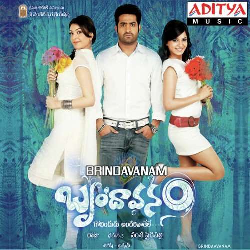 Brindavanam 2010