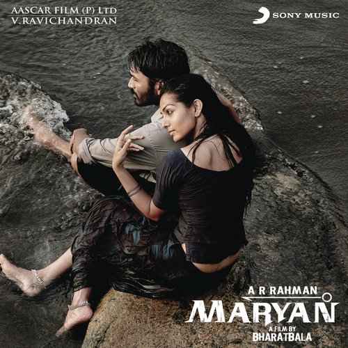 Maryan 2013