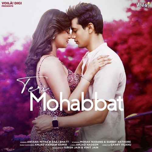 Teri Mohabbat