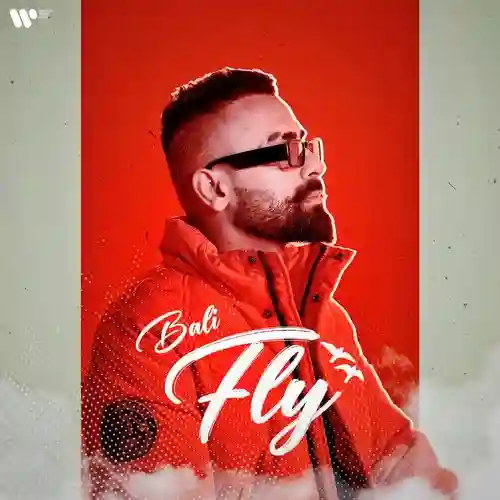 Fly