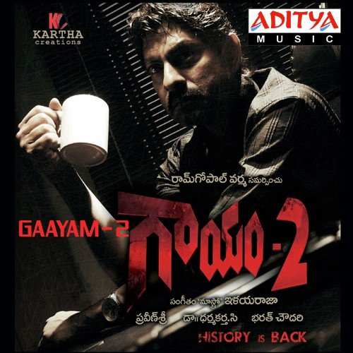 Gaayam- 2 2010