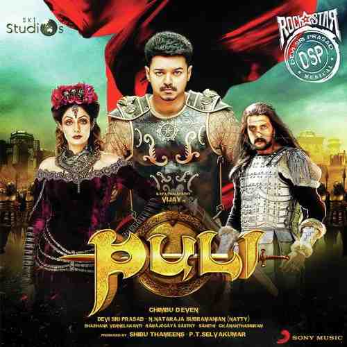 Puli Promo