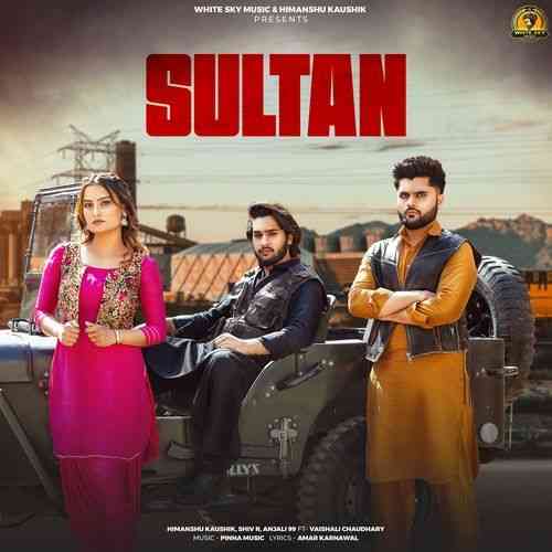 Sultan (feat. Vaishali Chaudhary)