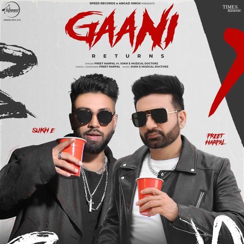 Gaani Returns