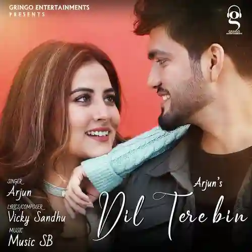 Dil Tere Bin