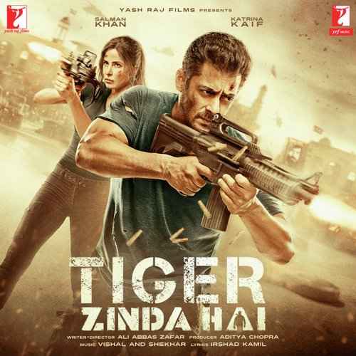 Tiger Zinda Hai 2017