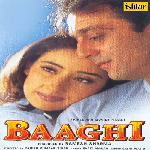 Baaghi 2000