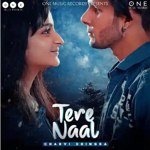 Tere Naal